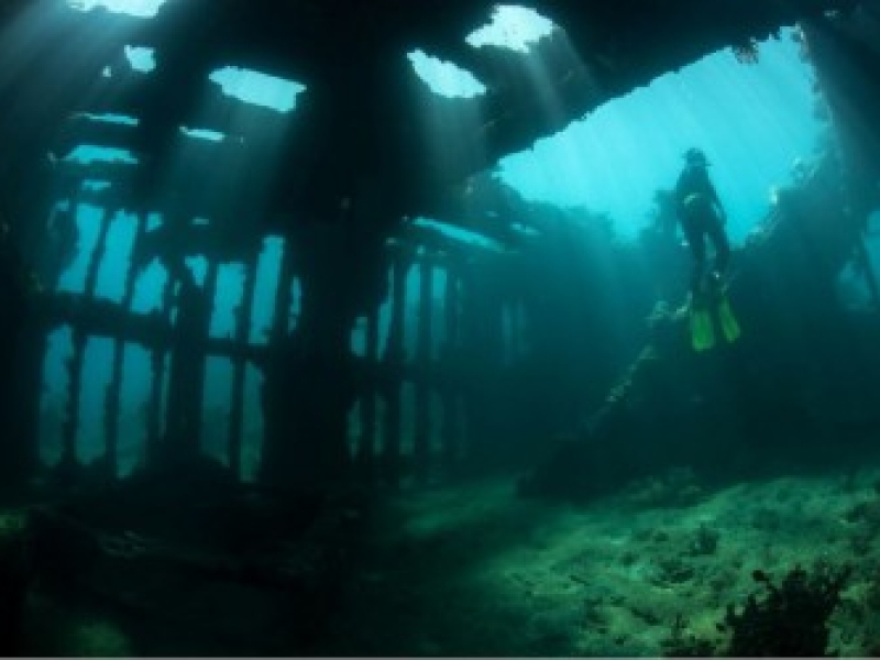 Sub-diving in the Pacific